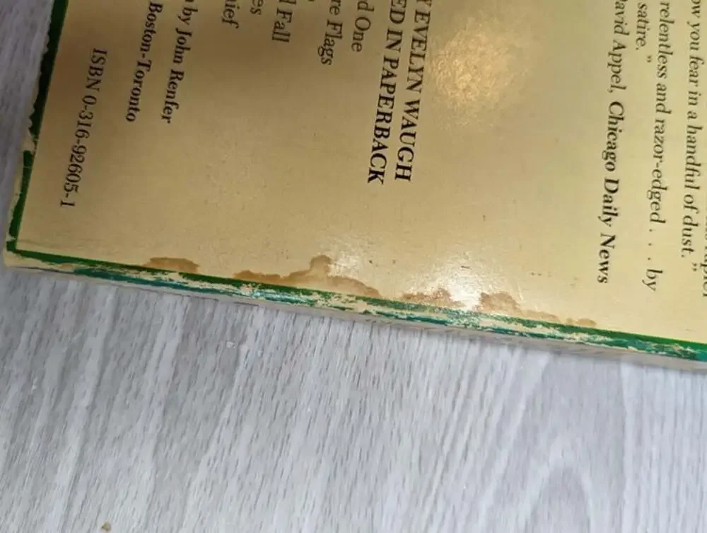 Vintage 1977 Evelyn Waugh A Handful of Dust Paperback Book